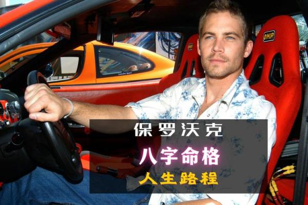 土龙金龙命运解析：揭示两种命格的不同人生之路