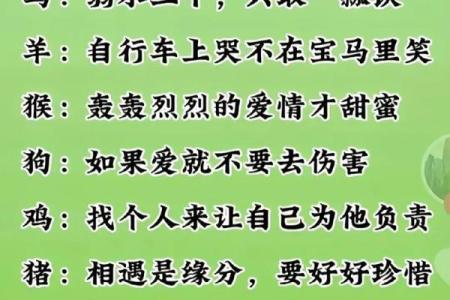 戊寅命与属相相配：寻找心灵的归宿与和谐的伴侣